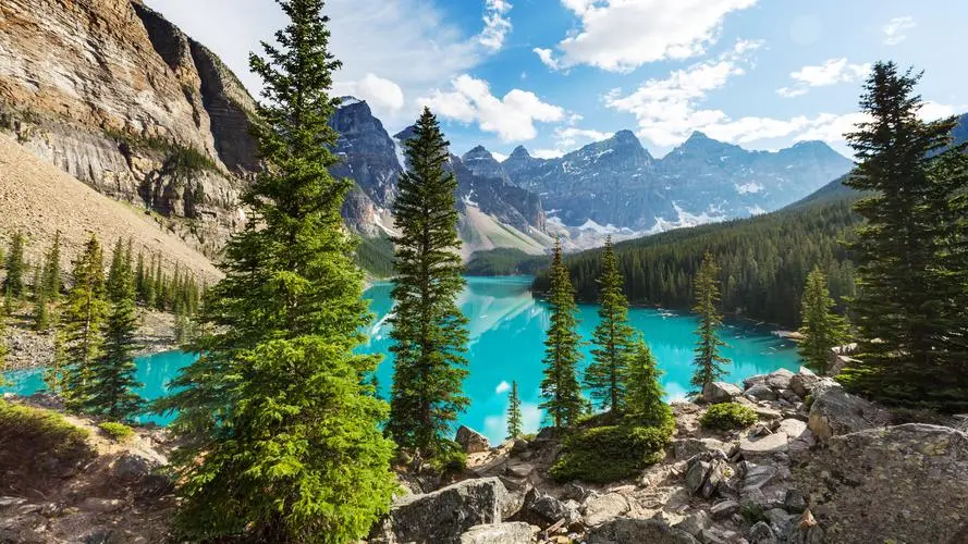 智能自动化